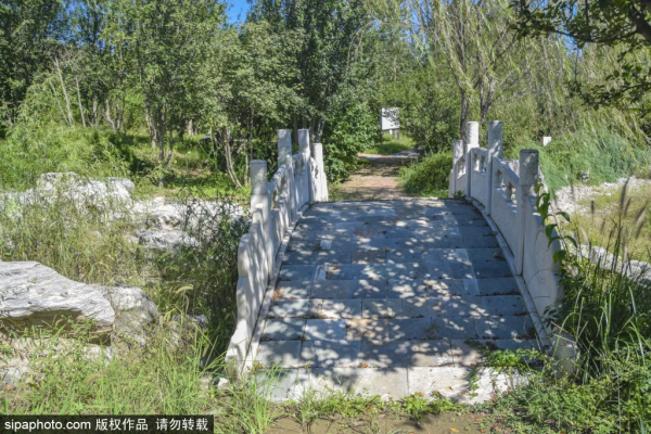 免費！這些公園低調卻各有特色，還有綠皮火車！