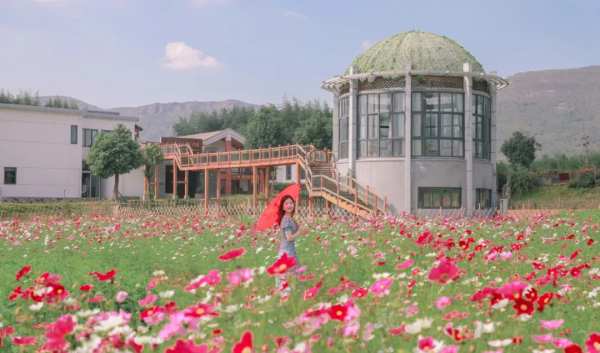 菜吧:從無人問津的村,到年接待遊客800萬的網紅村,它做對什麼 菜吧:從無人問津的村,到年接待遊客800萬的網紅村,它做對什麼