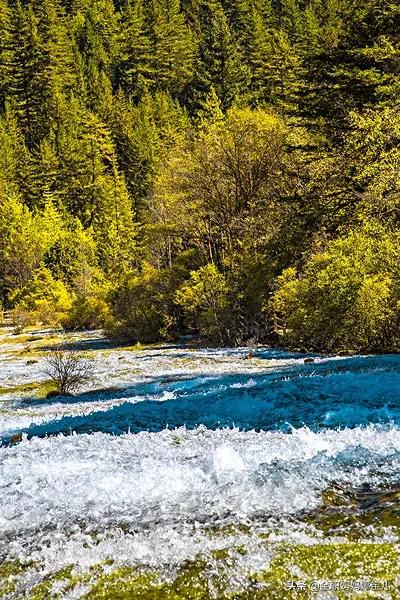 分享——令人迷幻的九寨溝