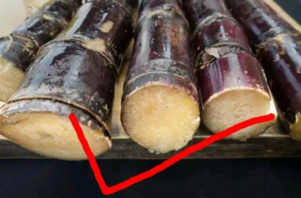 生活中,這些東西不能吃,有劇毒 生活中,這些東西不能吃,有劇毒