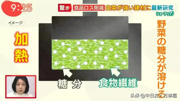 用白菜蓋房子，當作建材是混凝土的４倍，不但環保還可以拿來吃？