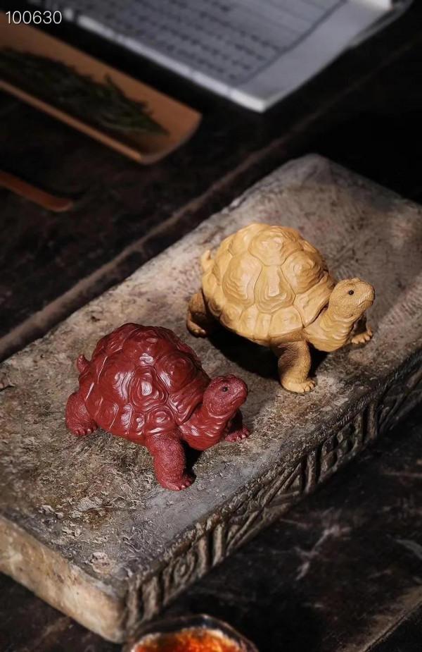 禪雲壽龜，逼真嗎？