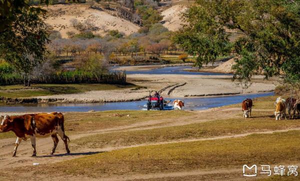 三天三季-我的烏蘭布統之旅 第三篇