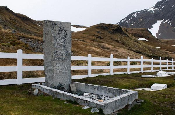 我們去南極結婚了 我們去南極結婚了