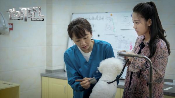 一文看懂《也平凡》：一個“電燈泡”引發的血案