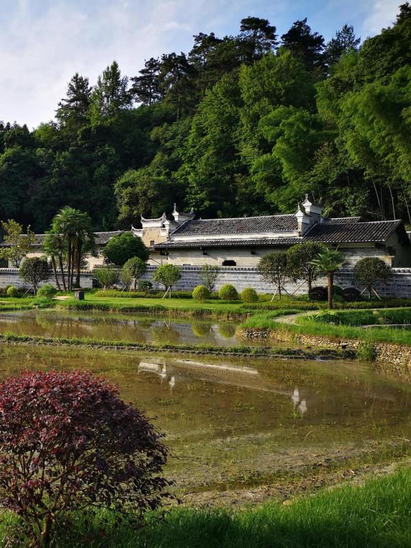 陳寅恪故里的風景(2021/06/05-07) 陳寅恪故里的風景(2021/06/05-07)