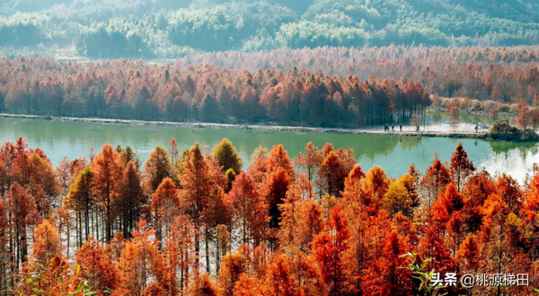 這幾個愈秋愈美的小眾旅行地，錯過只能再等一年