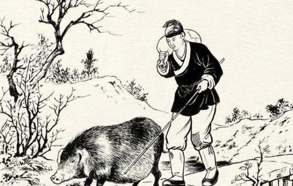 民間故事：會笑的豬