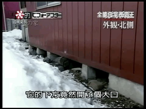 豆瓣9.6,這神仙綜藝被我們抄翻車了 豆瓣9.6,這神仙綜藝被我們抄翻車了