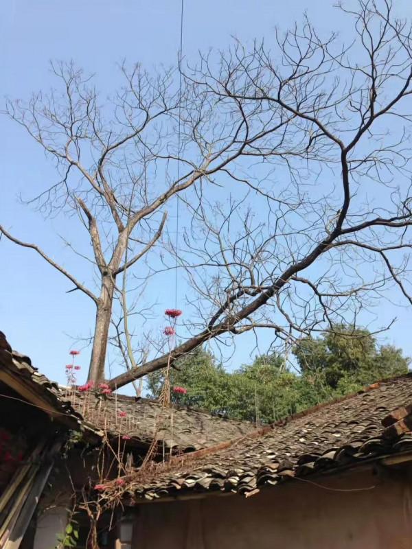 竹筒飯,叫花雞,烤番薯……廣東大山深處的美味 竹筒飯,叫花雞,烤番薯……廣東大山深處的美味