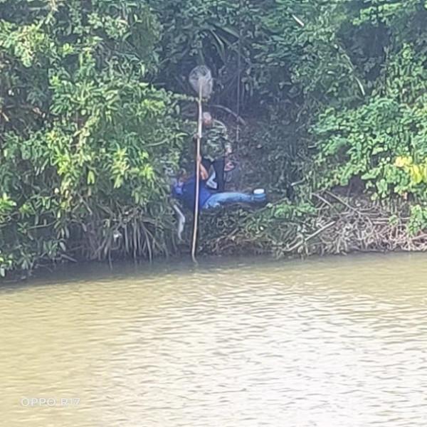 「十週年」1.2的子線硬上米級鯰魚，爆竿了也要拿下