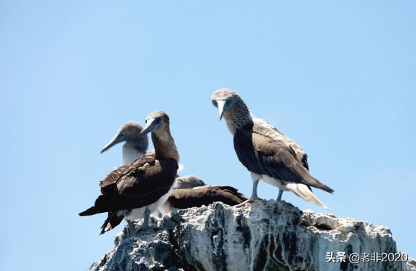 我拍的10種動物,你能認出一半就很厲害了 我拍的10種動物,你能認出一半就很厲害了
