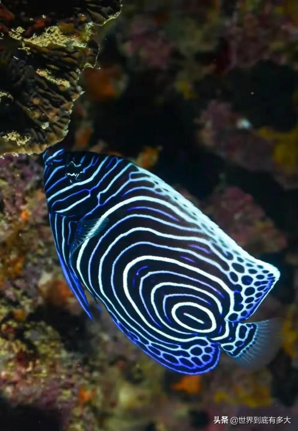 “塞席爾”現狀，比我國還富的非洲國家，帶你看看真實的塞席爾