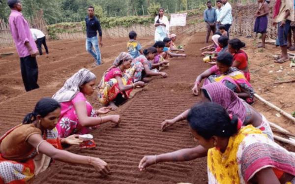 同是人口農業大國,為何中國滿世界買糧,印度卻成糧食出口大國? 同是人口農業大國,為何中國滿世界買糧,印度卻成糧食出口大國?