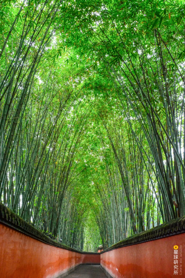 四川從哪裡來? 四川從哪裡來?