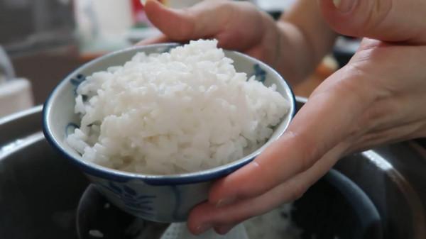 減肥｜蛋奶植物油減肥必備3營養素不用戒飯？吃冷飯燒脂穩定效果