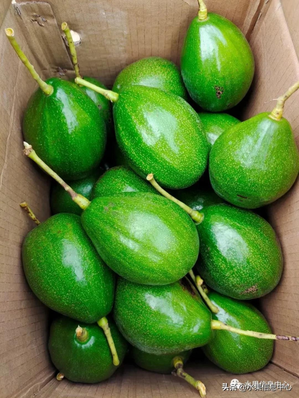 網友評選出“最難吃的水果”，你吃過幾種？