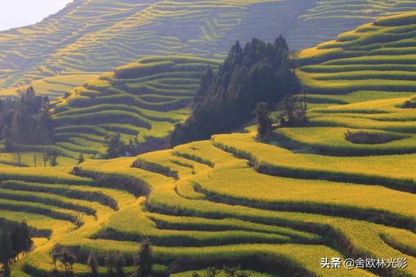 羅平馬街，一個把田地種成了風景畫的地方，山區賞花正當時哦