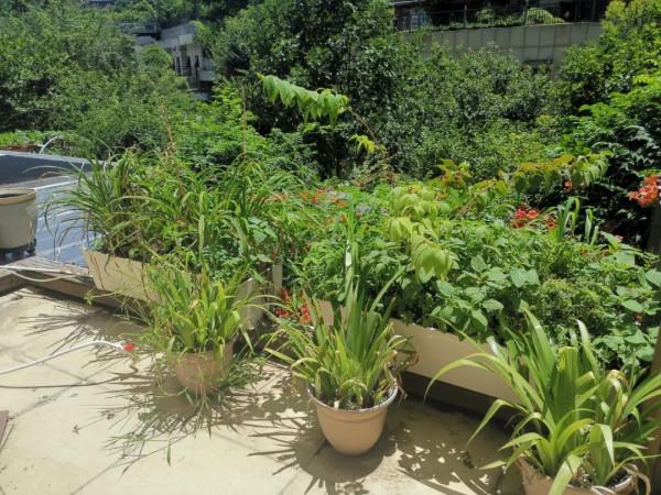 天溝二培槽的製作詳解 天溝二培槽的製作詳解