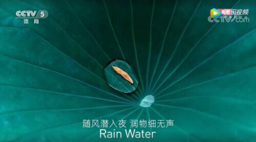 收藏！冬奧會開幕式上14首古詩詞都在這裡了
