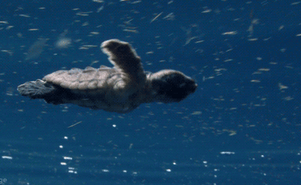 有人每天跑步五公里猝死，劇烈運動傷身傷氣血嗎？