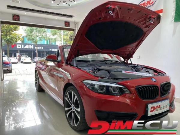 寶馬225i 2.0T 刷ECU動力 敞篷小跑車效能必須強 寶馬225i 2.0T 刷ECU動力 敞篷小跑車效能必須強