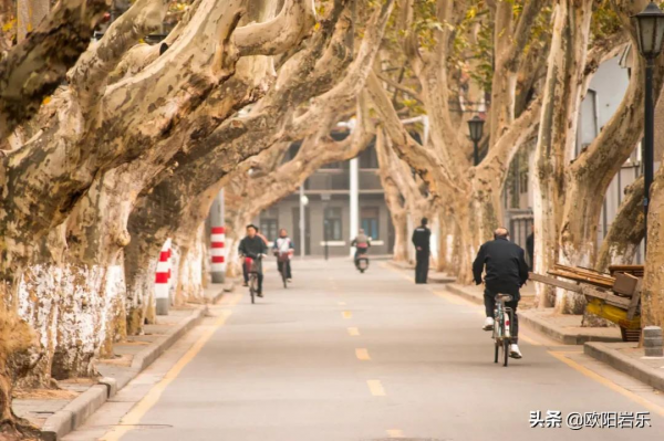 秋天的第一場旅行，你可以去這6個地方。一入秋，他們就變色了…