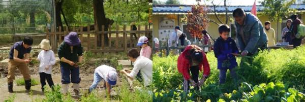 走!上小毛驢農園租地種菜去~ 走!上小毛驢農園租地種菜去~