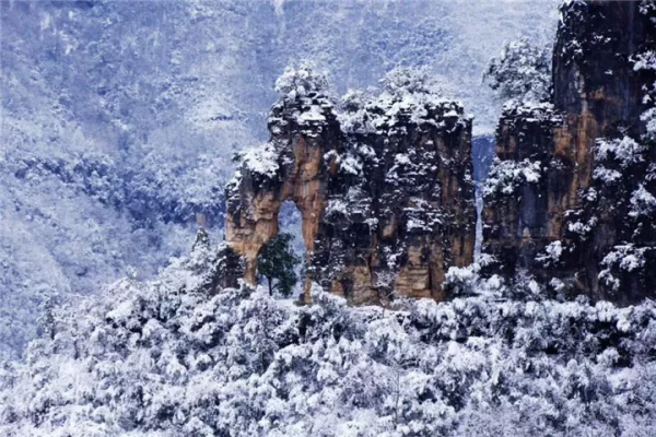 冬已至，一大波美景即將來襲，你準備好get了嗎？