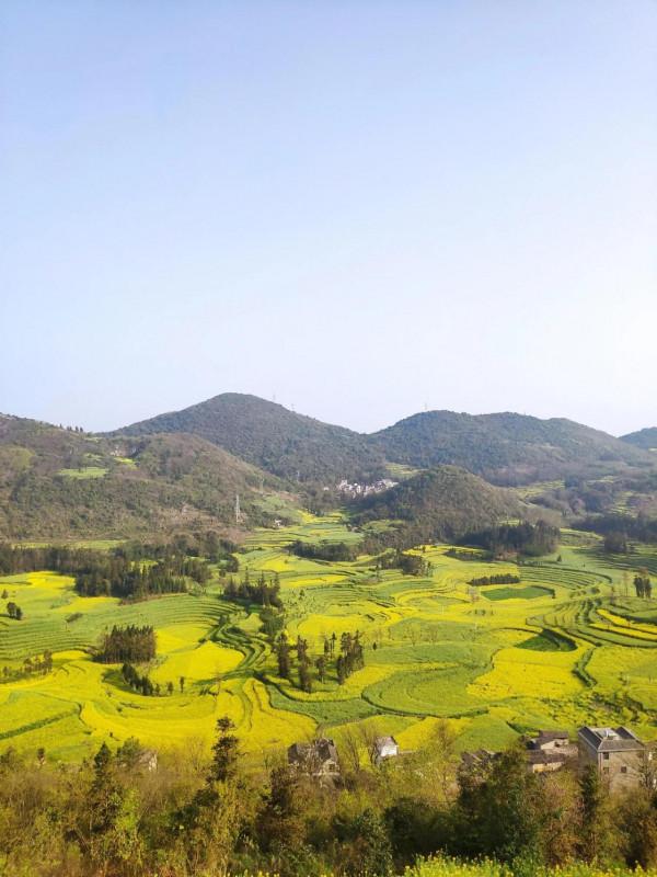 情人節，你預約了嗎？