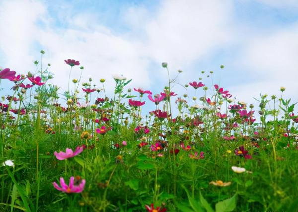幸福是什麼?年度好文 幸福是什麼?年度好文