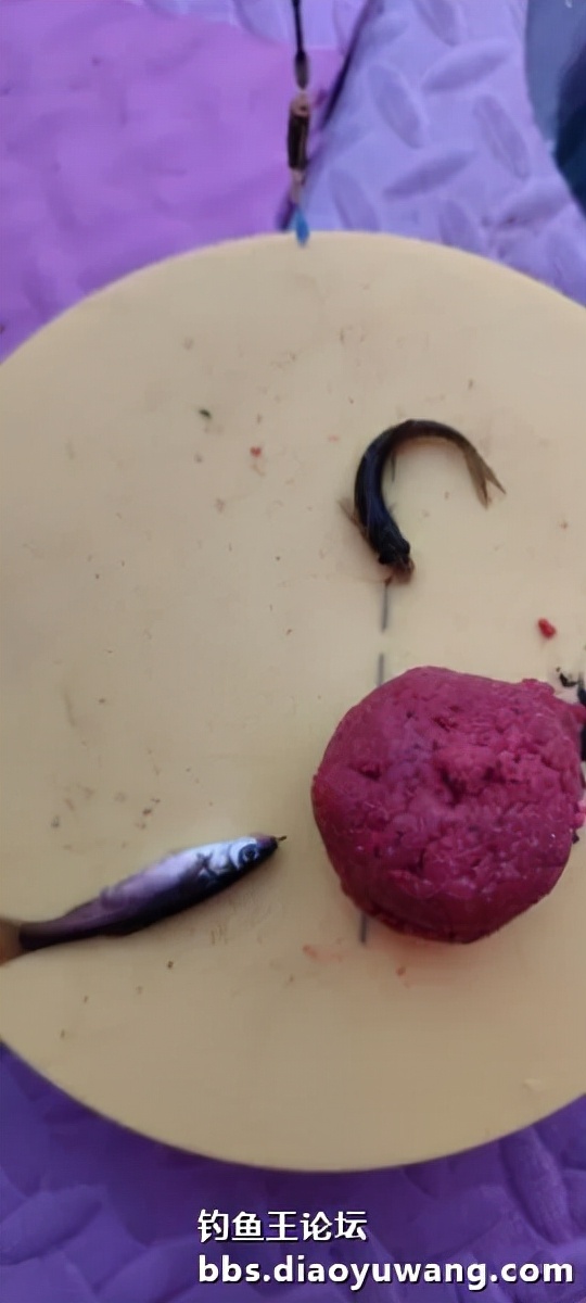 迴歸河山，收穫翻番