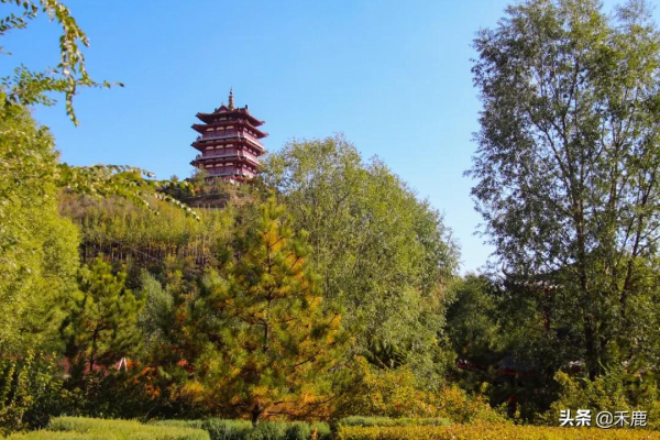 感受樂都這個民族團結主題公園的詩意 感受樂都這個民族團結主題公園的詩意