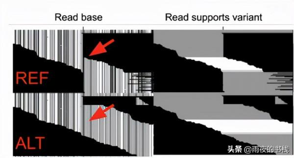 使用 DeepVariant 1.0 提高基因組分析的準確性