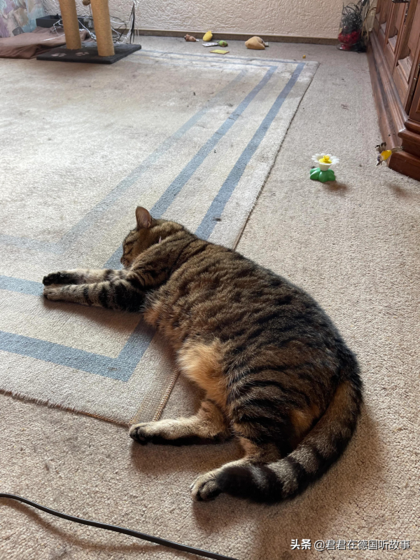 德國的窮人過著怎樣的生活?女人貧窮到底有多可怕?(五) 德國的窮人過著怎樣的生活?女人貧窮到底有多可怕?(五)