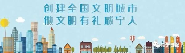市區14臺純電動計程車亮相