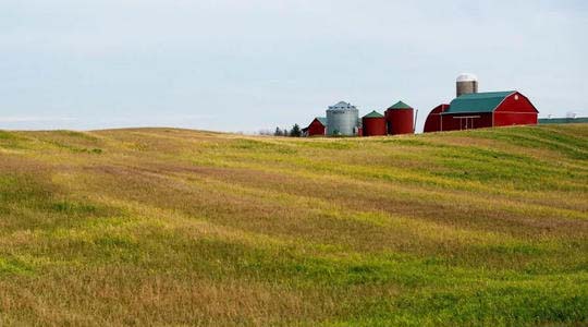 美國機械化採摘黃瓜，一天可收1000噸！為啥我們沒有這種機器？