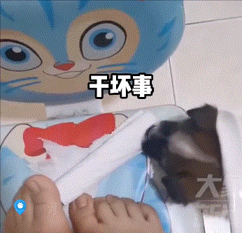 今日科技熱點:終結者成為可能?可以繁殖的活體機器人誕生 今日科技熱點:終結者成為可能?可以繁殖的活體機器人誕生