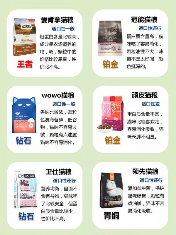快停止喂自家貓咪這些糧吧！它們上了貓糧黑榜