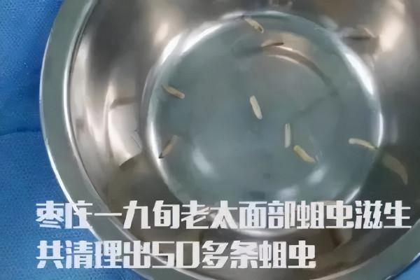 你家廁所裡有這種小飛蟲嗎?它發起飆來醫生也怕,教你3招消滅它 你家廁所裡有這種小飛蟲嗎?它發起飆來醫生也怕,教你3招消滅它