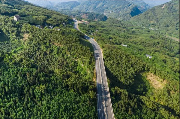 用一根竹子打動投資人，她如何從零做到本色紙行業第一？