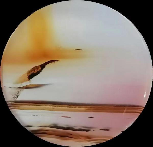 飛天神鶴伴野鴨