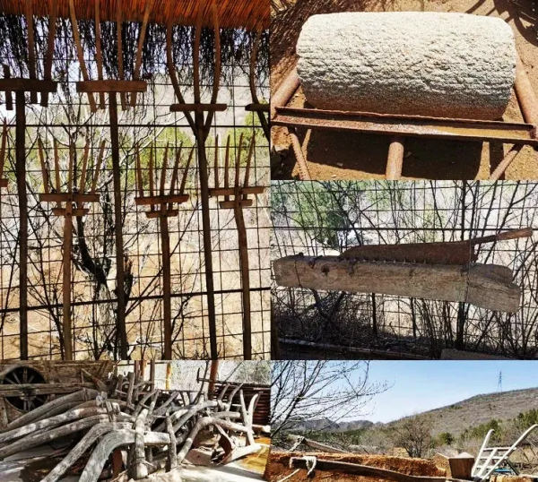 菜吧：無氮不生長,無磷難成花,無鉀不上色，無硼難坐果，缺鈣裂果