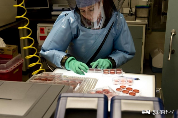 不要接近猴子！美國4只實驗用的猴子外逃，到底有多危險？