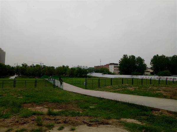 「冤案」西楚霸王火燒“天下第一宮”阿房宮?項羽:這鍋我不背 「冤案」西楚霸王火燒“天下第一宮”阿房宮?項羽:這鍋我不背