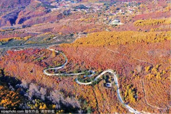 門頭溝區賞紅葉指南→