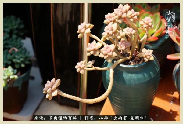 用一份熱愛，溫暖一段時光