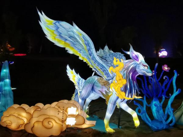 驚豔的自貢燈會