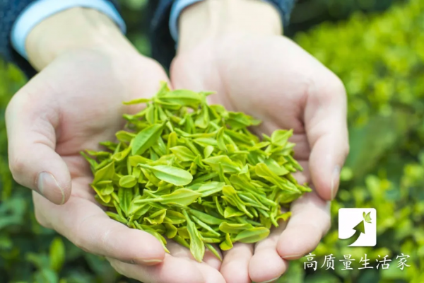 大蒜、西蘭花、蘋果，這些“抗癌食物”真的有效嗎？科學證據來說話！癌症不上門，得這樣養~