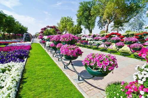 分享，最美花卉公園，收藏了